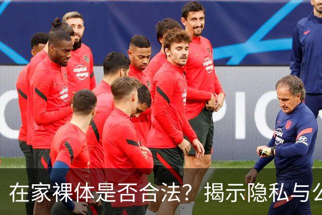 在家裸体是否合法？揭示隐私与公共空间的界限